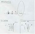 Clicca l'immagine per ingrandirla. 

Nome: schizzo003.jpg‎ 
Visualizzazioni: 123 
Dimensione: 41.8 KB 
ID: 7676